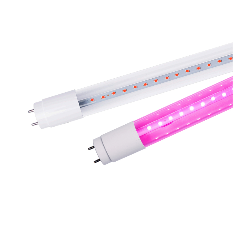 Ống kính LED T8 Ống kính LED T8