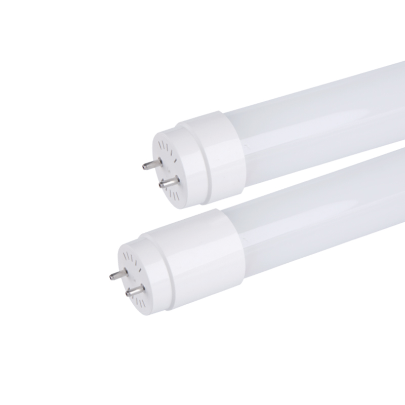 Ống thủy tinh LED T8 (Brazil/Mỹ Latinh) - Đầu vào đơn/đôi