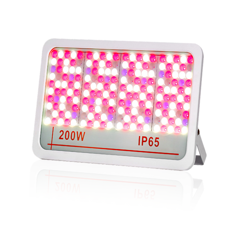 Đèn led đèn lụt