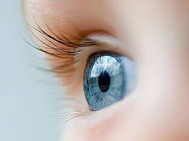 Xin Guang Yuan (Đèn mới) Công ty TNHH Công nghệ chiếu sáng, Ltd.