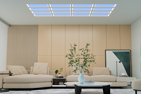 Xin Guang Yuan (Đèn mới) Công ty TNHH Công nghệ chiếu sáng, Ltd.